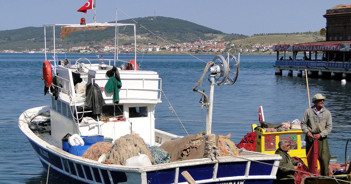 Türkiye'nin Balık Takvimi İki Saate Göre İşler: Biyoloji ve Bakanlık Yasakları